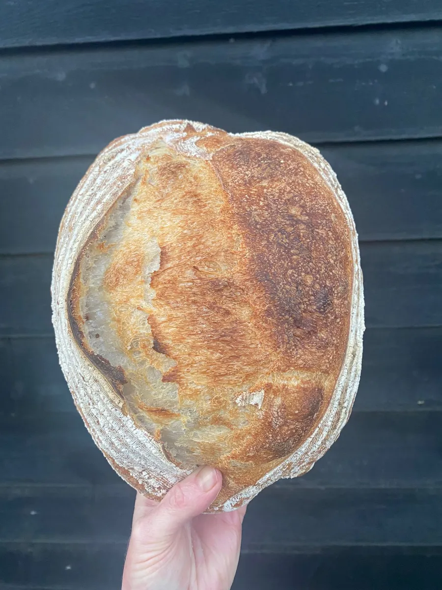 Organic Stoneground White Sourdough